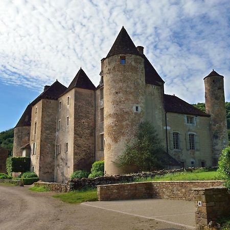 Chateau De Balleure Etrigny Kültér fotó