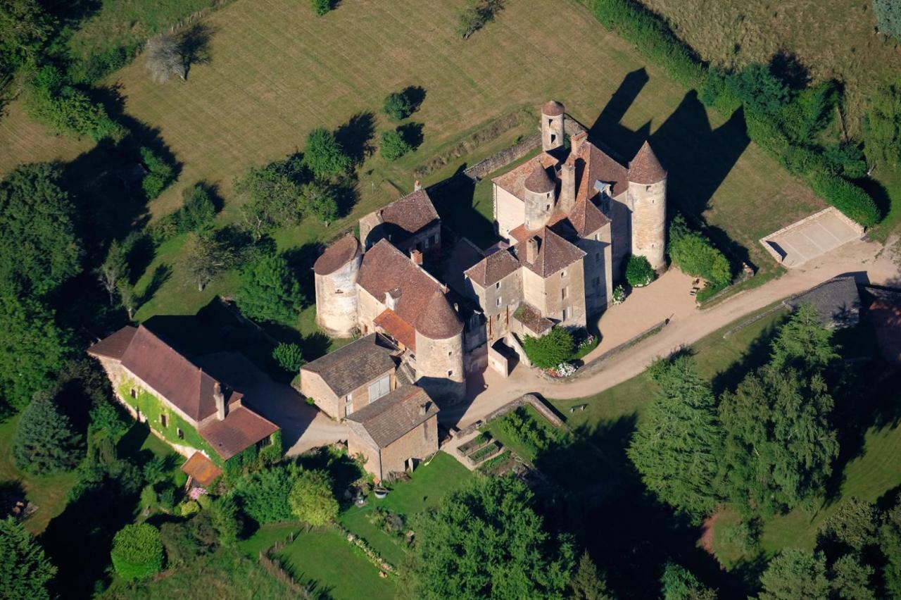 Chateau De Balleure Etrigny Kültér fotó