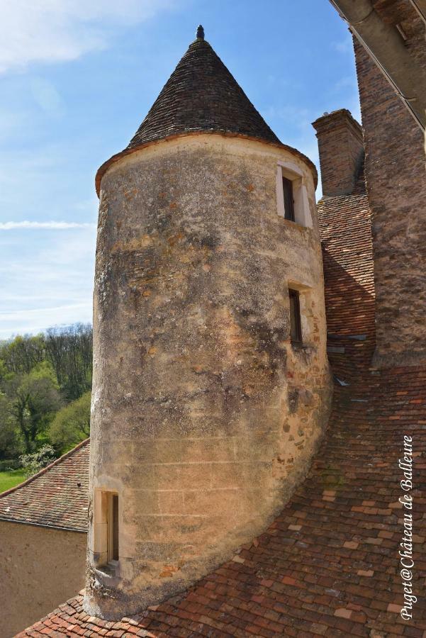 Chateau De Balleure Etrigny Kültér fotó